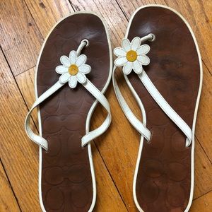 Coach daisy flip flops